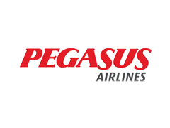pegasus-large-logo.png